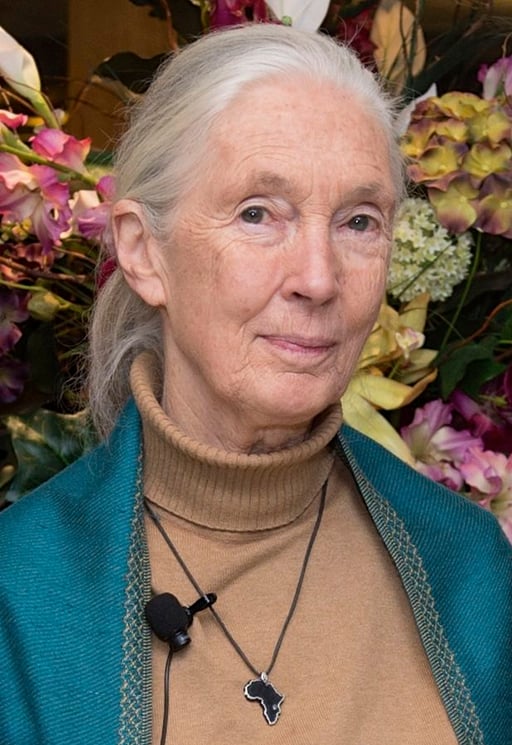 Jane Goodall